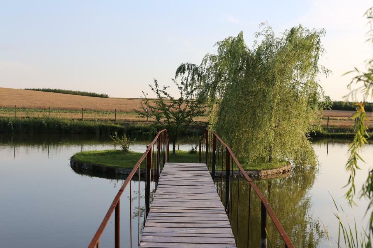Agrowczasy Nad Stawem Villa Gartatowice Bagian luar foto