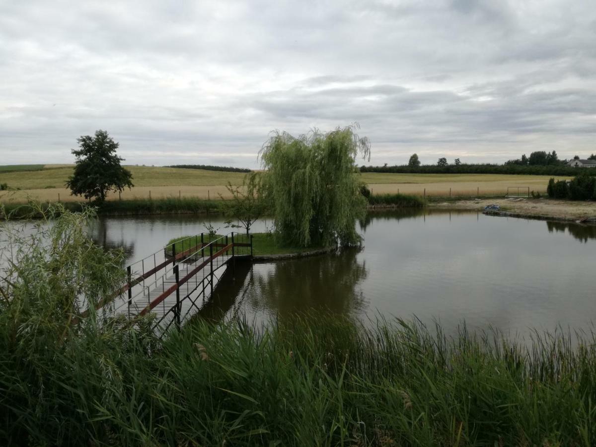 Agrowczasy Nad Stawem Villa Gartatowice Bagian luar foto