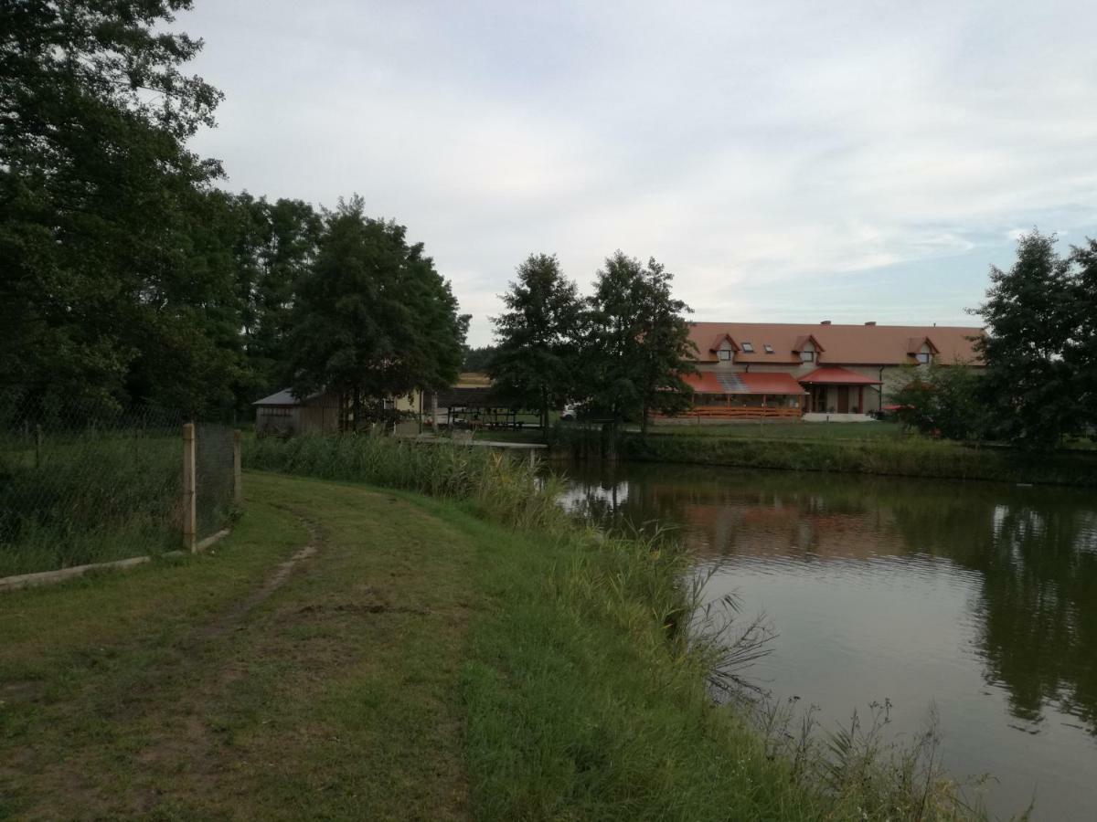Agrowczasy Nad Stawem Villa Gartatowice Bagian luar foto
