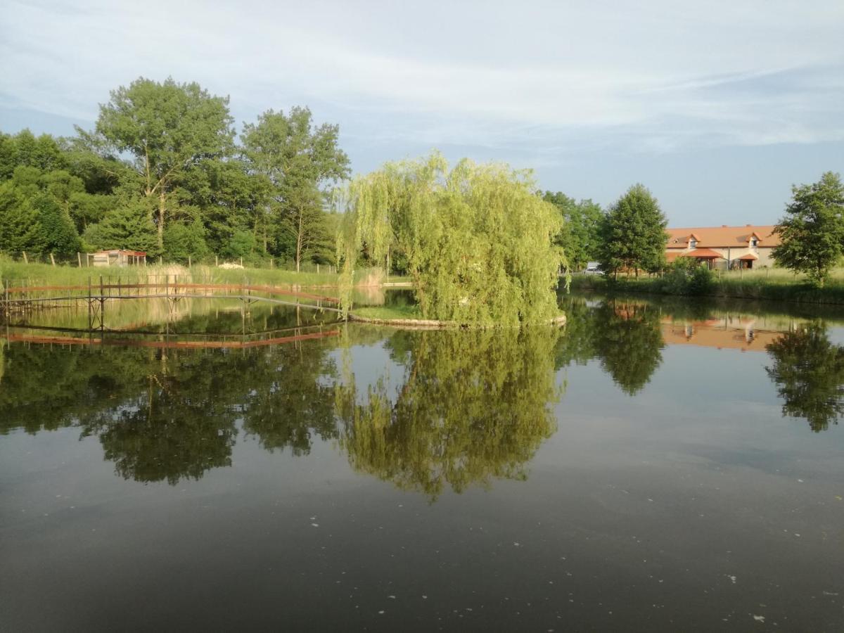 Agrowczasy Nad Stawem Villa Gartatowice Bagian luar foto